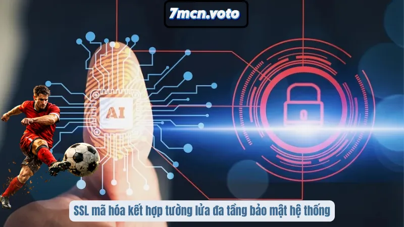 Chính Sách Bảo Mật 7MCN – Cam Kết An Toàn Thông Tin Tuyệt Đối 3 SSL mã hóa kết hợp tường lửa đa tầng bảo mật hệ thống