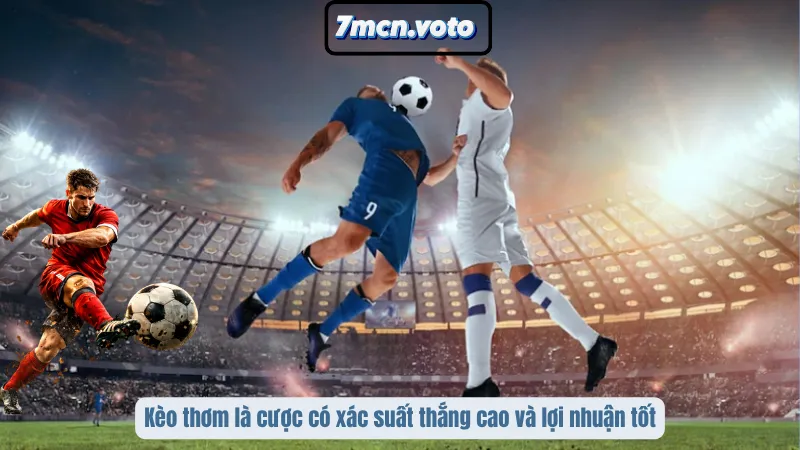 Kèo thơm là cược có xác suất thắng cao và lợi nhuận tốt