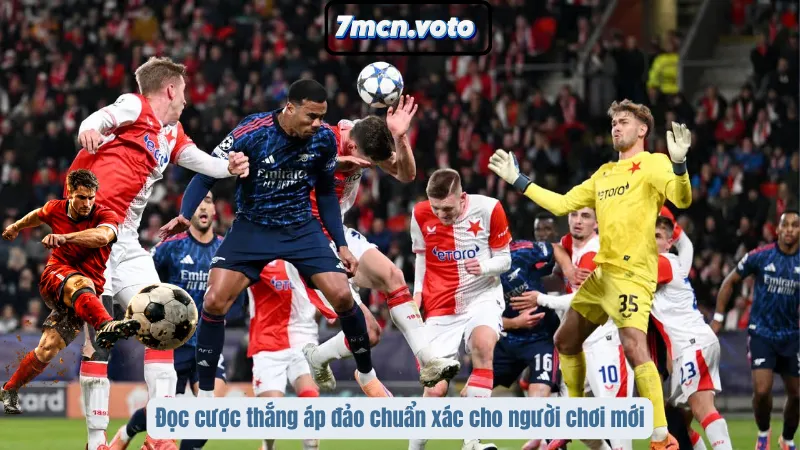 Đọc cược thắng áp đảo chuẩn xác cho người chơi mới