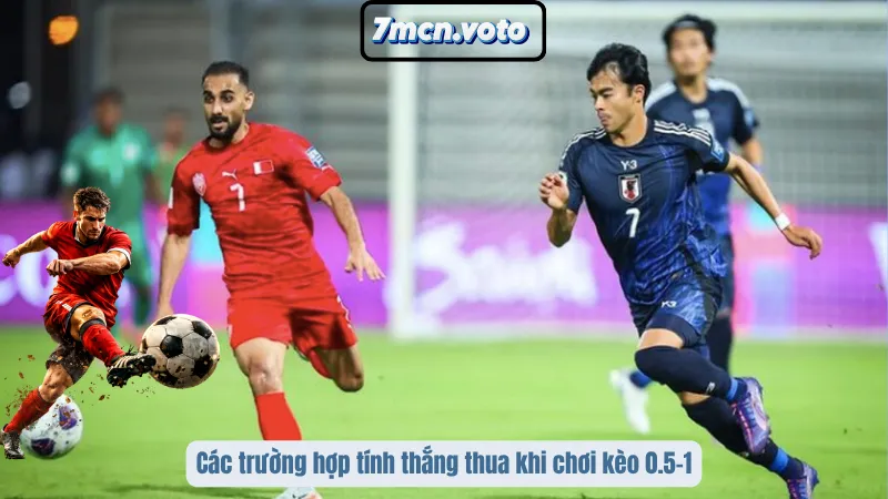 Các trường hợp tính thắng thua khi chơi kèo 0.5–1
