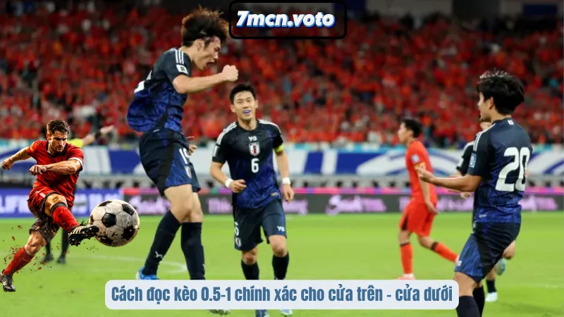 Cách đọc kèo 0.5–1 chính xác cho cửa trên – cửa dưới