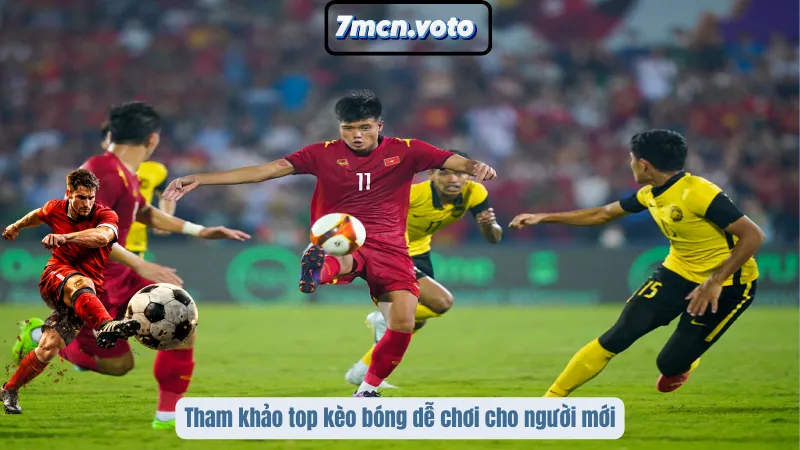 Tham khảo top kèo bóng dễ chơi cho người mới