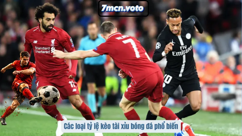 Các loại tỷ lệ kèo tài xỉu bóng đá phổ biến