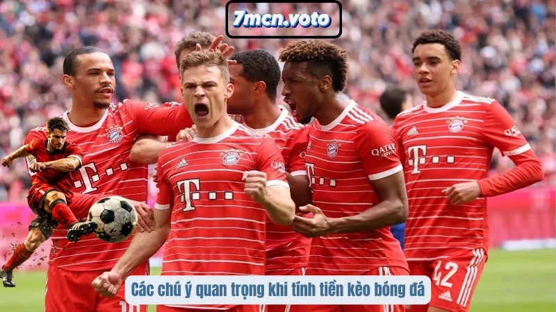 Cách Tính Tiền Kèo Bóng Đá – Công Thức Chuẩn Cho Mọi Tỷ Lệ 4 Các chú ý quan trọng khi tính tiền kèo bóng đá